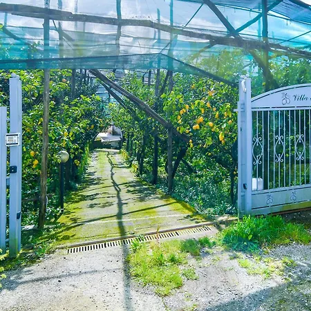 Dei Limoni * Massa Lubrense